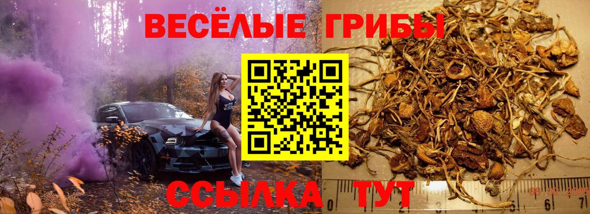 Псилоцибиновые грибы Magic Shrooms  Вход с VPN  Химки 